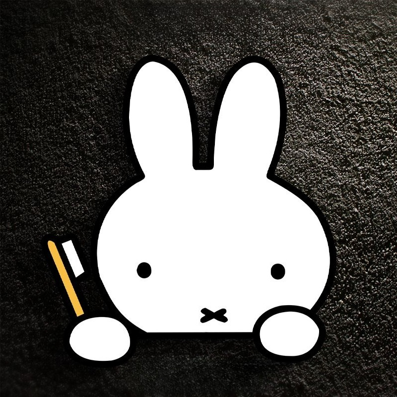 Adesivo de Carro Miffy Rabbit  - Atv Parts avaliação e preço